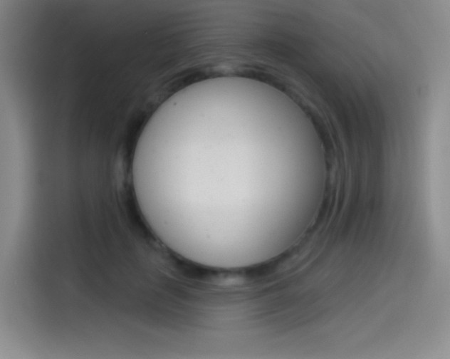 X0000114490651200910191117