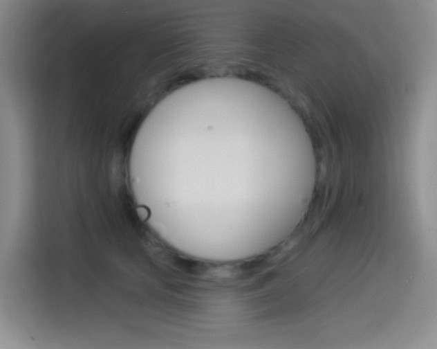 X0000114490659200910191117