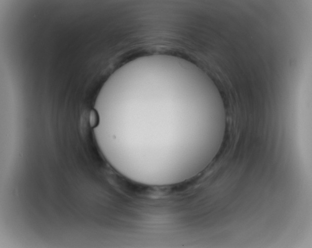 X0000114490660200910191117