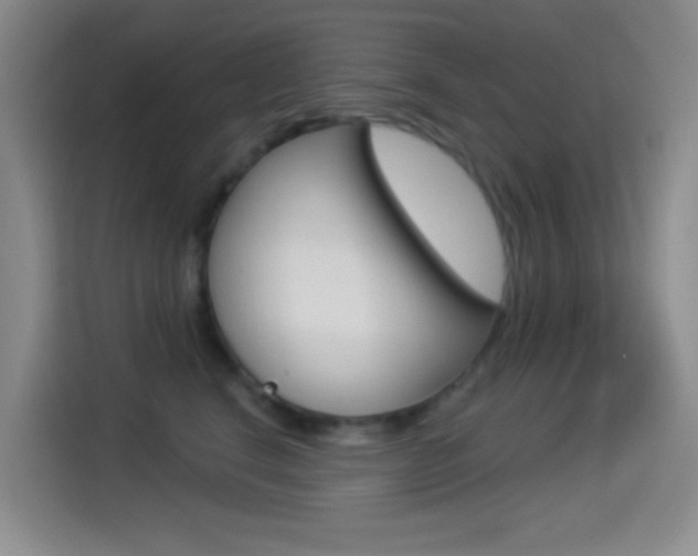 X0000114490664200910191117