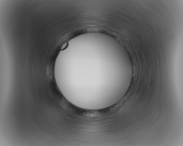 X0000114490666200910191118