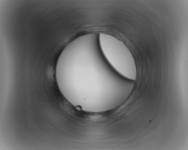 X0000114490669200910191118