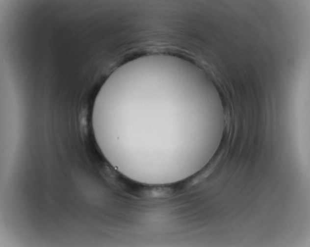 X0000114490670200910191118
