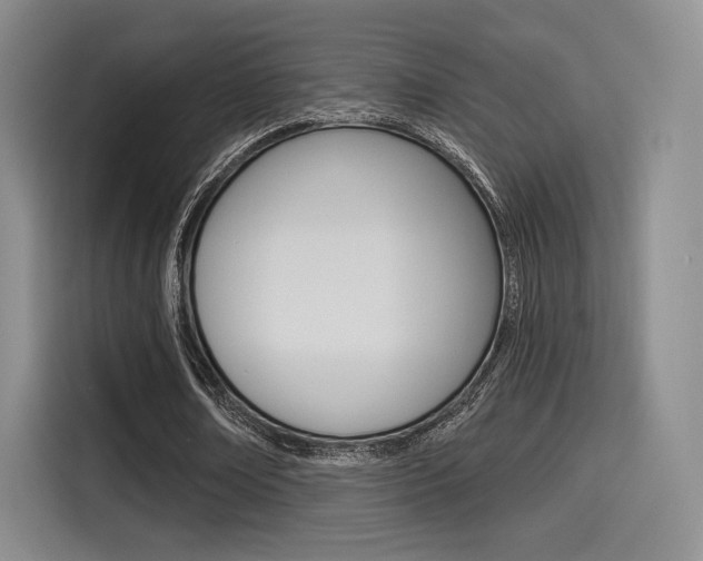 X0000114490674200910191117