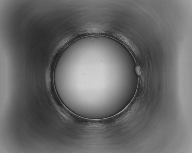 X0000114490677200910191117