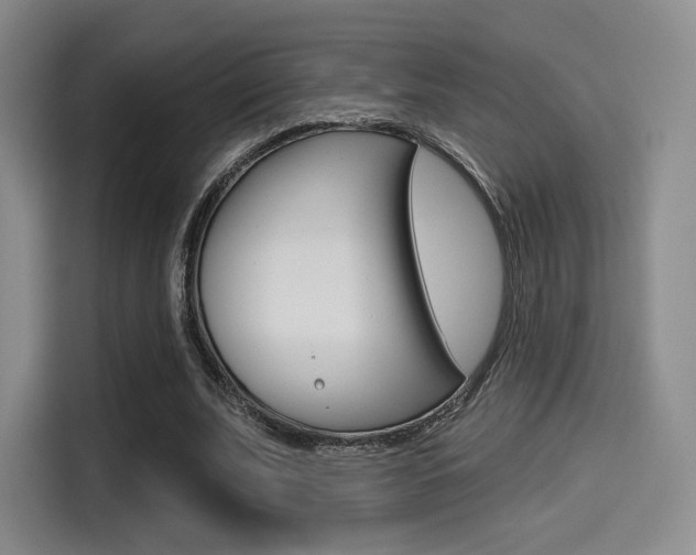X0000114490679200910191117