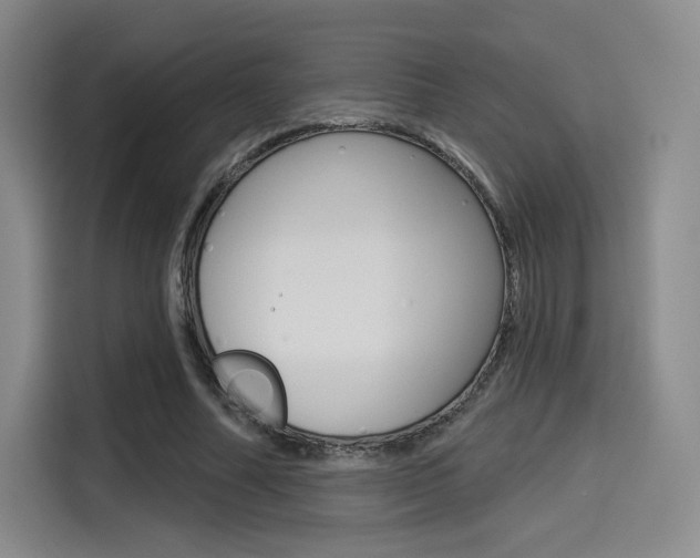 X0000114490682200910191117