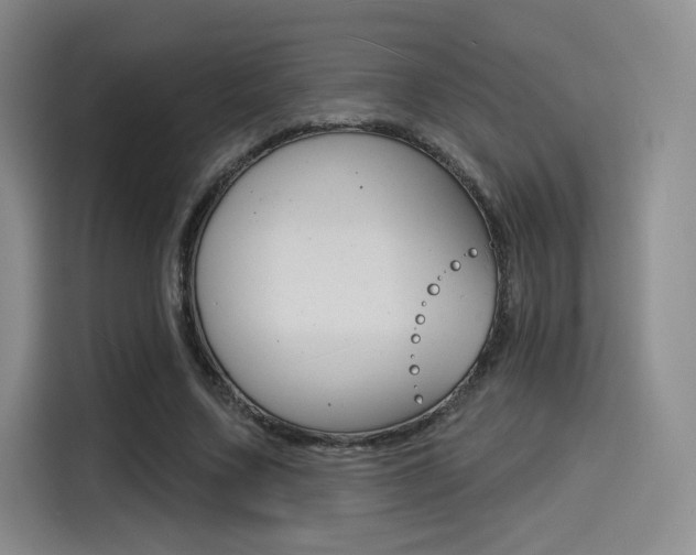 X0000114490683200910191117