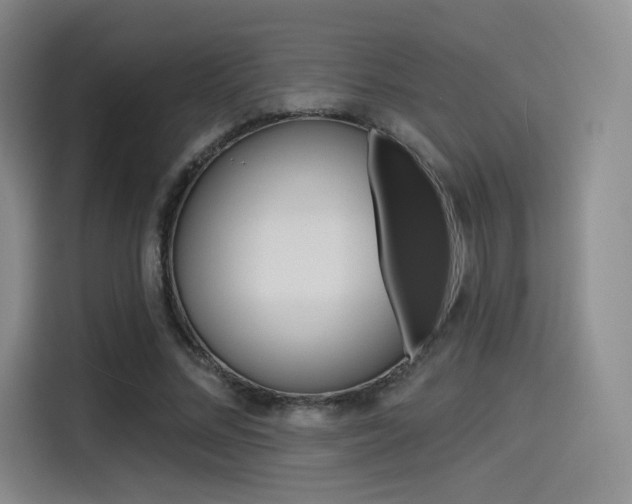 X0000114490684200910191117