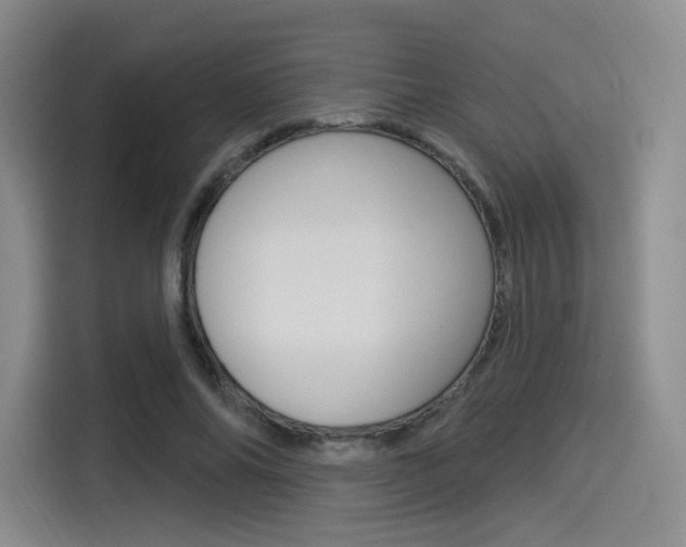 X0000114490686200910191117