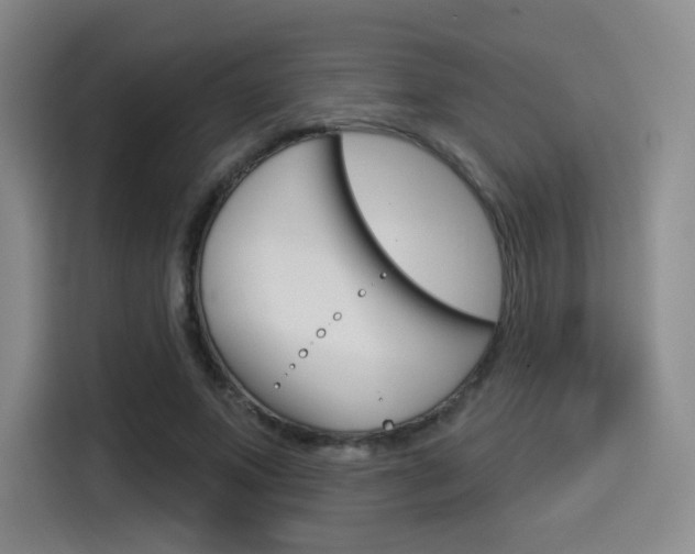 X0000114490687200910191117