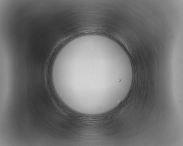 X0000114490688200910191117