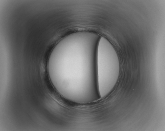 X0000114490691200910191117