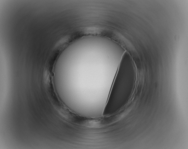 X0000114490692200910191117