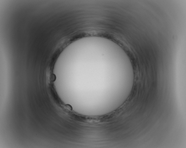 X0000114490694200910191117