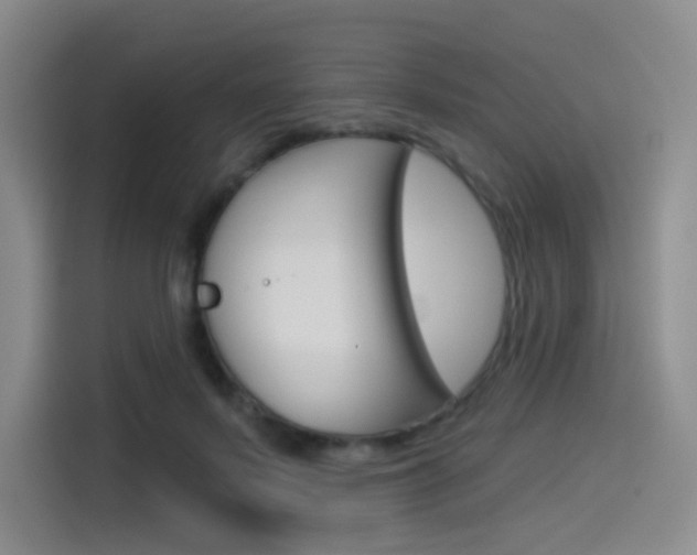 X0000114490695200910191117