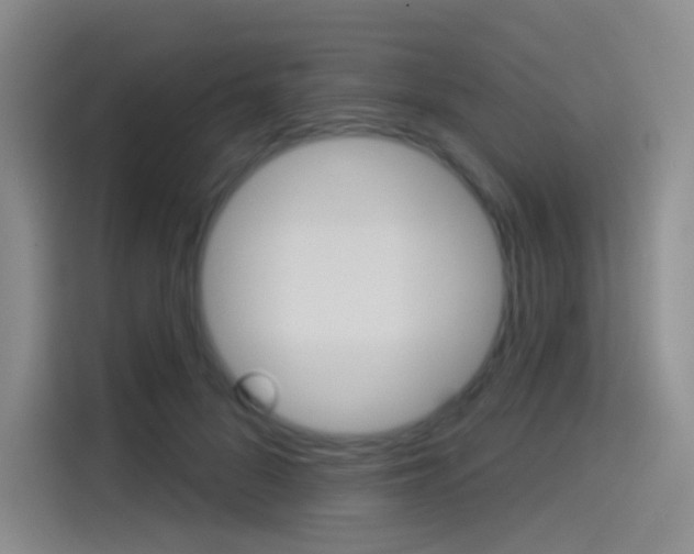 X0000114490696200910191117