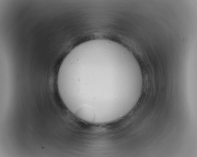 X0000114490698200910191117