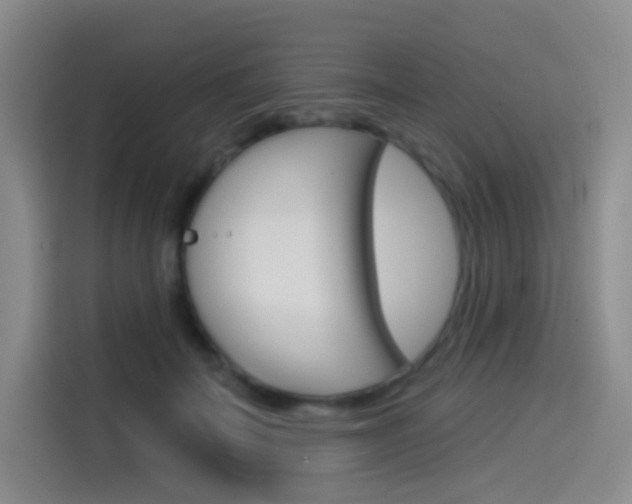 X0000114490699200910191117