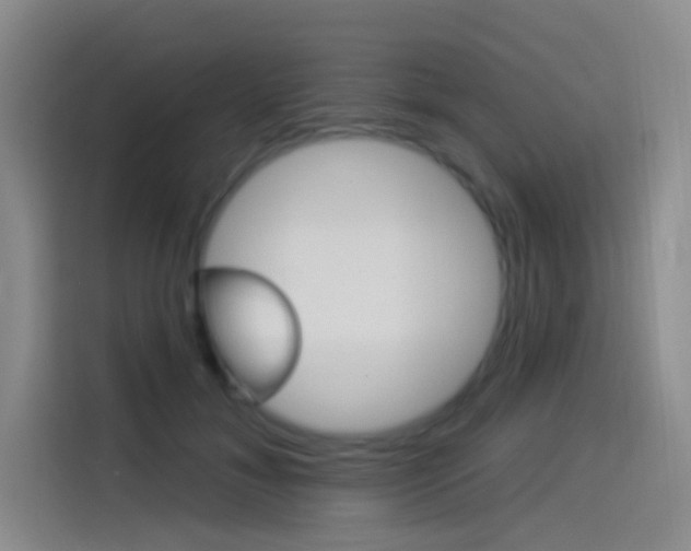 X0000114490700200910191117