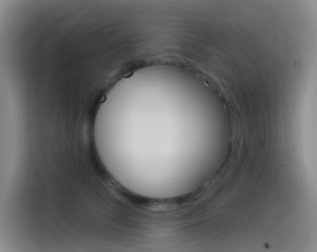 X0000114490708200910191117