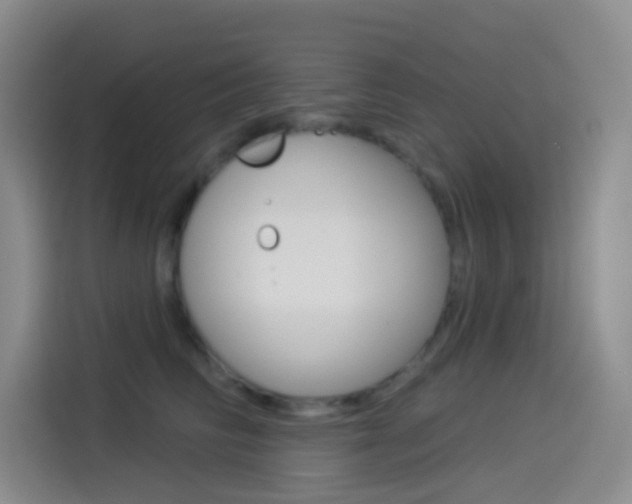 X0000114490710200910191116