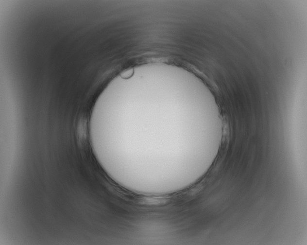 X0000114490713200910191116