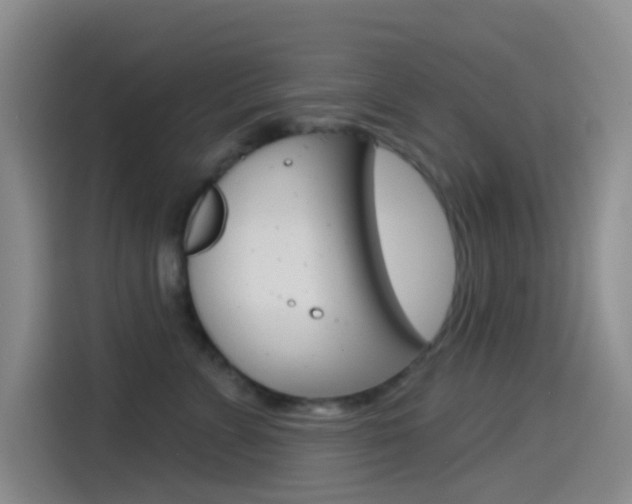 X0000114490715200910191116