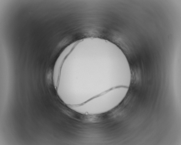 X0000114490717200910191116