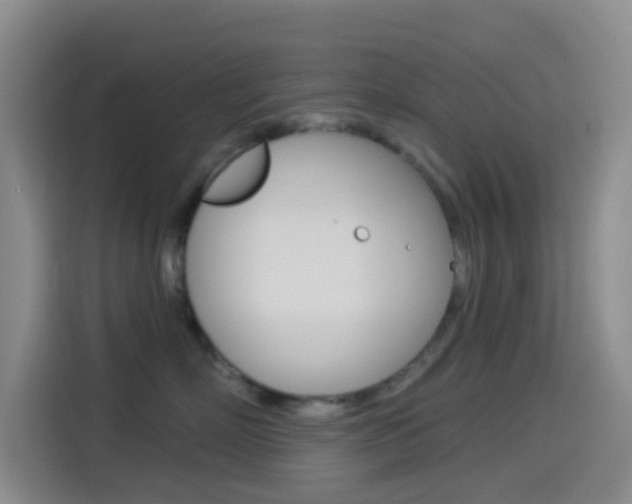 X0000114490718200910191116