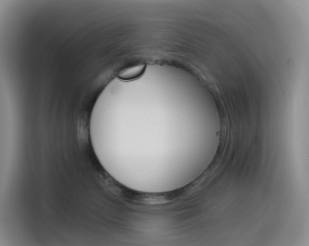 X0000114490719200910191116