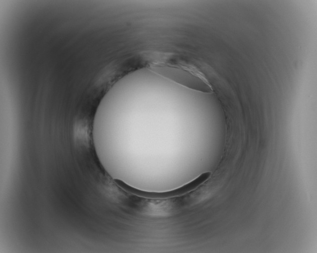 X0000114490720200910191116