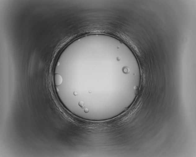 X0000114490721200910191116