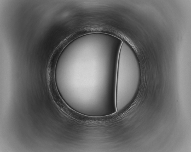 X0000114490722200910191116