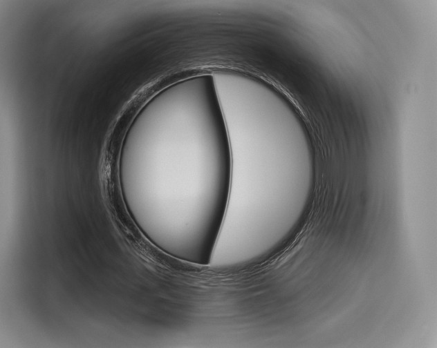 X0000114490723200910191116