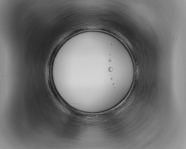 X0000114490725200910191116