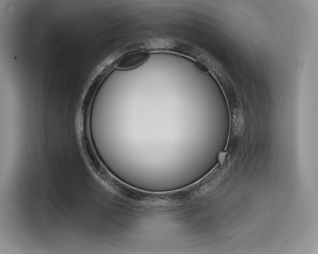 X0000114490726200910191116