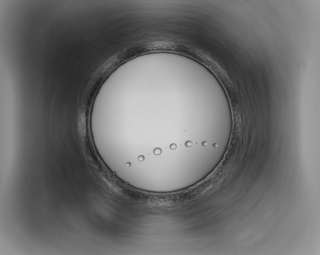 X0000114490729200910191116