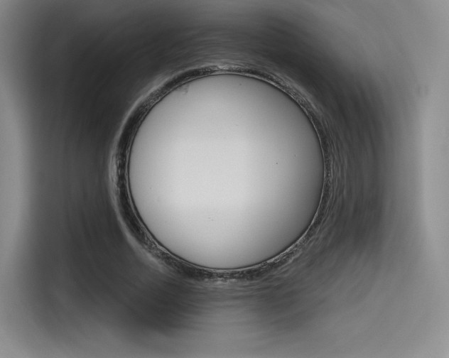 X0000114490730200910191116