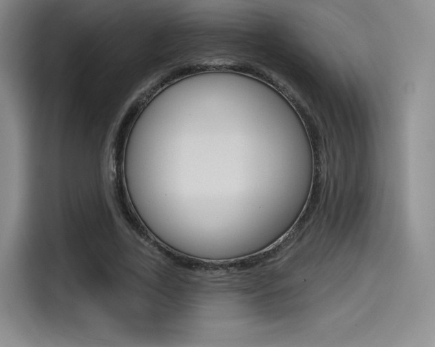 X0000114490731200910191116