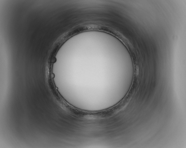 X0000114490733200910191116