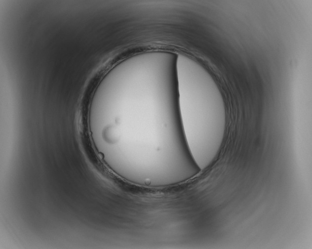 X0000114490734200910191116