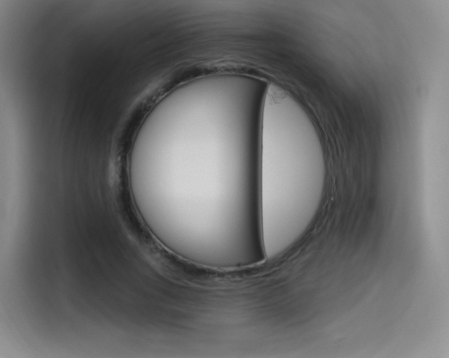 X0000114490735200910191116