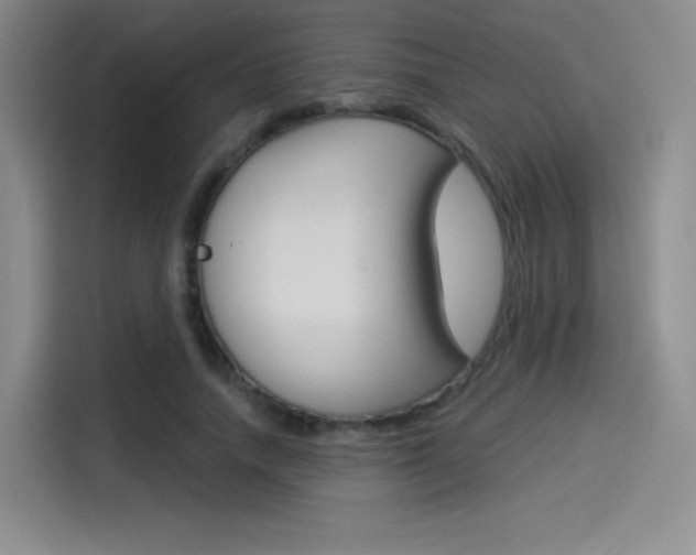 X0000114490738200910191116