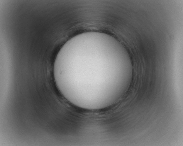 X0000114490747200910191116
