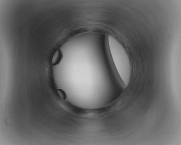 X0000114490750200910191116