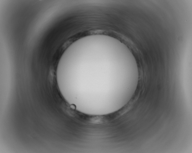 X0000114490761200910191116