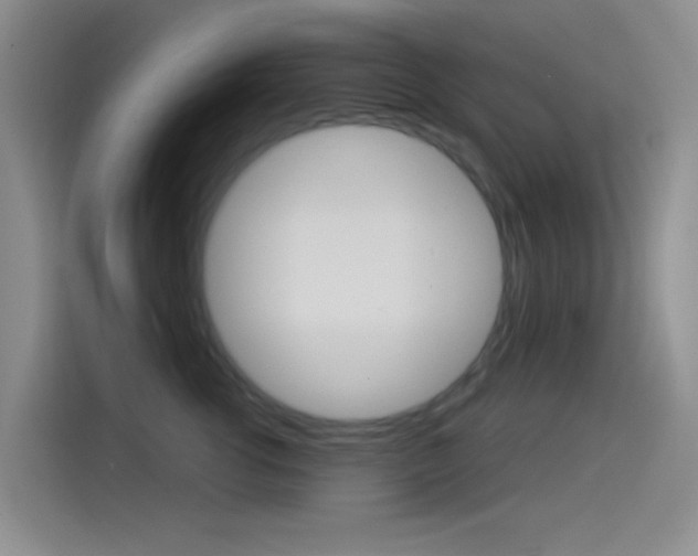 X0000114490762200910191116