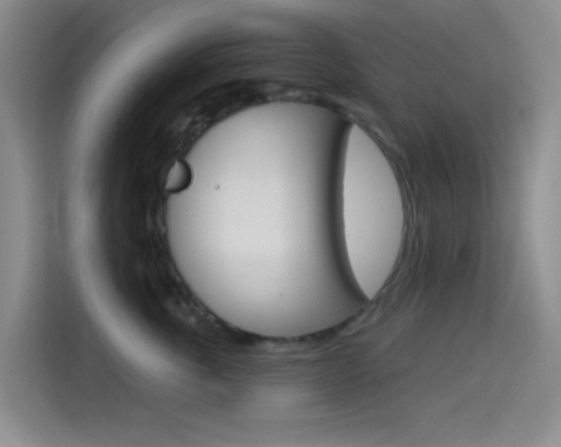 X0000114490763200910191116