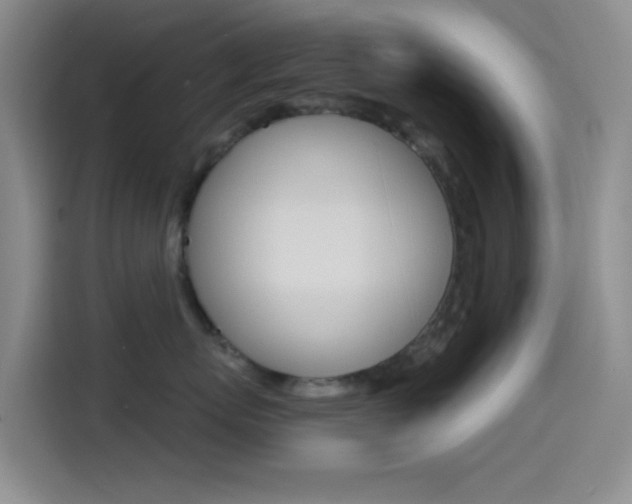 X0000114490767200910191116